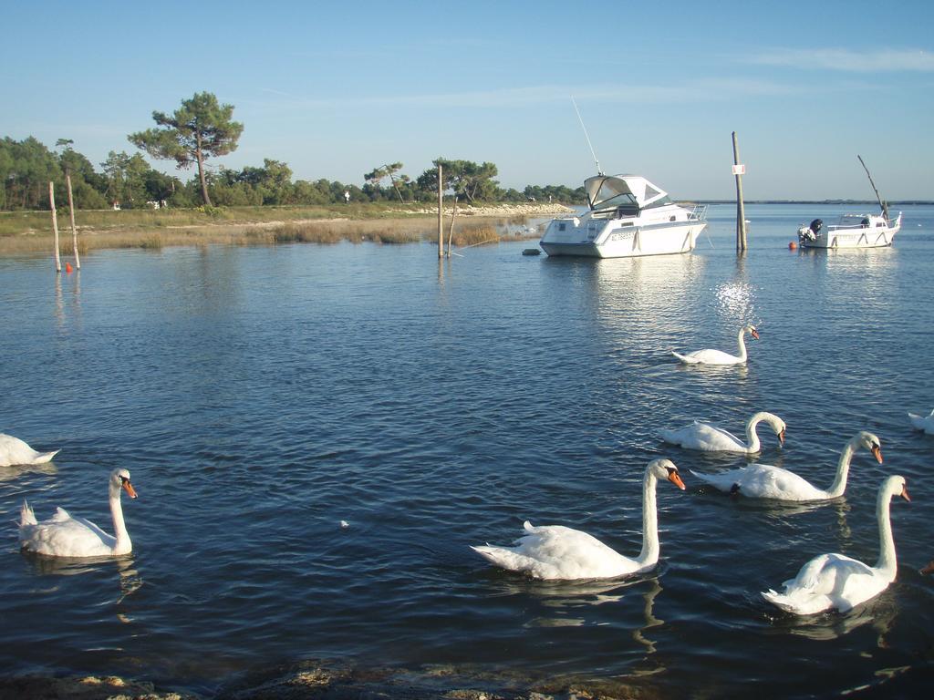 Apartamento Les Marinas de Cassy Lanton Exterior foto
